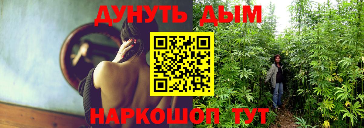 МАРИХУАНА план Муравленко